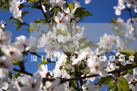 没有逾期等问题借呗额度突然减少