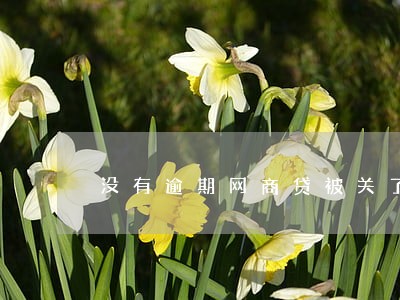 没有逾期网商贷被关了 没有逾期网商贷被关了