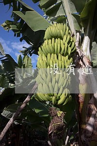 没有逾期网捷贷却369 没有逾期网捷贷却369