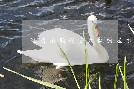 没有逾期网贷大数据显示逾期 没有逾期网贷大数据显示逾期