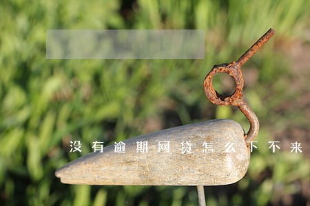没有逾期网贷怎么下不来呢 没有逾期网贷怎么下不来呢