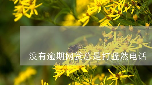没有逾期网贷总是打骚然电话 没有逾期网贷总是打骚然电话