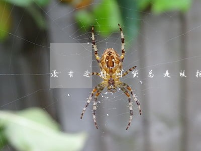 没有逾期网贷总是被拒的原因 没有逾期网贷总是被拒的原因