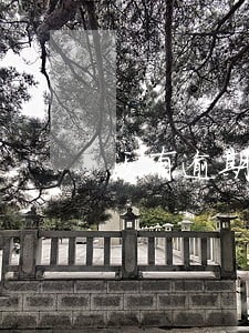 没有逾期网贷次数多能申请房贷吗