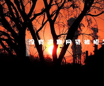没有逾期网贷被拒怎么查原因 没有逾期网贷被拒怎么查原因