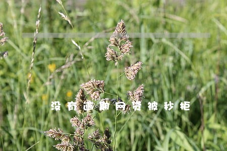 没有逾期网贷被秒拒 没有逾期网贷被秒拒