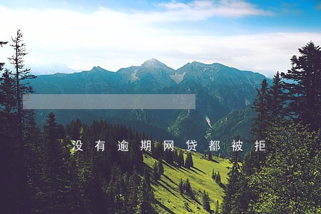 没有逾期网贷都被拒