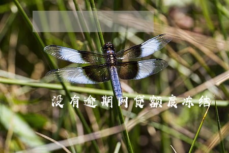 没有逾期网贷额度冻结 没有逾期网贷额度冻结