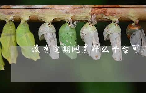 没有逾期网黑什么平台可以借款 没有逾期网黑什么平台可以借款