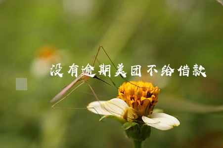 没有逾期美团不给借款 没有逾期美团不给借款