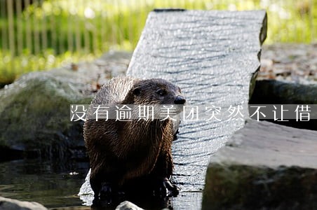 没有逾期美团突然不让借款了 没有逾期美团突然不让借款了