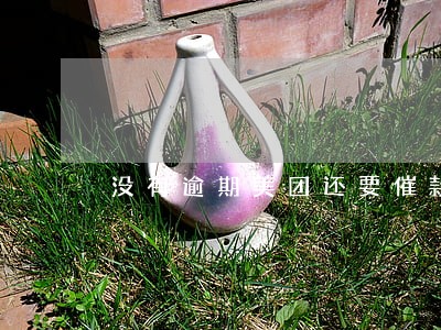 没有逾期美团还要催款 没有逾期美团还要催款