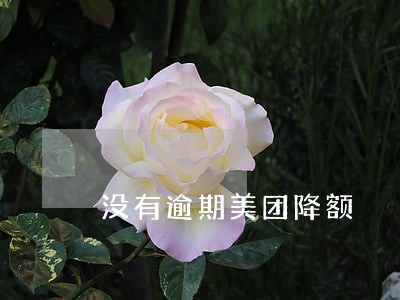没有逾期美团降额 没有逾期美团降额