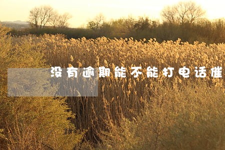 没有逾期能不能打电话催收