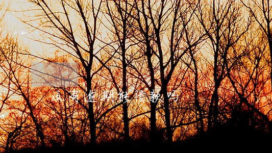 没有逾期能借款吗 没有逾期能借款吗