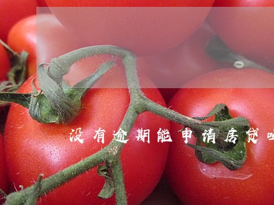 没有逾期能申请房贷吗 没有逾期能申请房贷吗