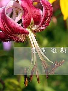 没有逾期能贷款买房子吗 没有逾期能贷款买房子吗