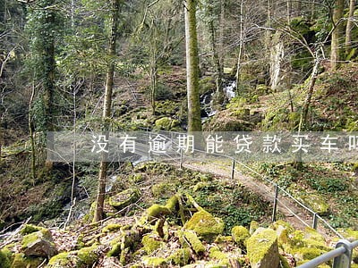 没有逾期能贷款买车吗 没有逾期能贷款买车吗