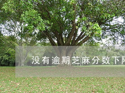 没有逾期芝麻分数下降 没有逾期芝麻分数下降
