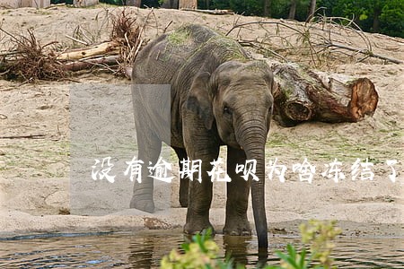 没有逾期花呗为啥冻结了 没有逾期花呗为啥冻结了