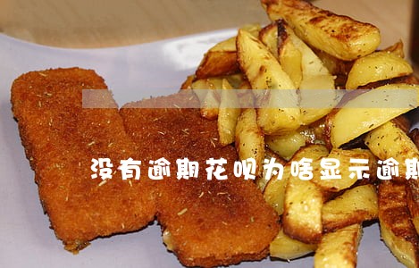 没有逾期花呗为啥显示逾期 没有逾期花呗为啥显示逾期