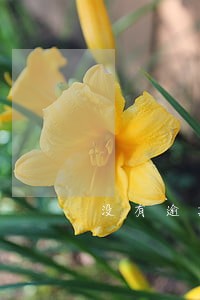没有逾期花呗也会冻结吗 没有逾期花呗也会冻结吗