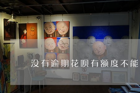 没有逾期花呗有额度不能用了