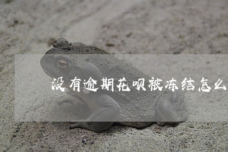 没有逾期花呗被冻结怎么投诉 没有逾期花呗被冻结怎么投诉