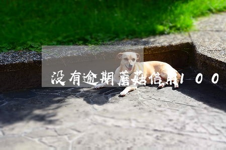没有逾期蘑菇信用100