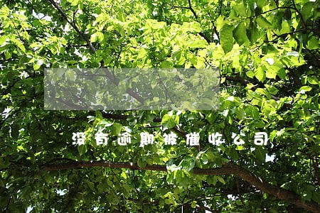 没有逾期被催收公司 没有逾期被催收公司