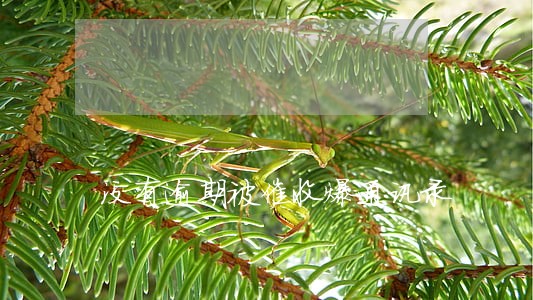 没有逾期被催收爆通讯录 没有逾期被催收爆通讯录