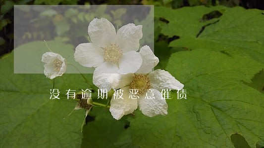 没有逾期被恶意催债 没有逾期被恶意催债
