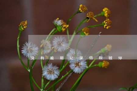 没有逾期记录借呗被停
