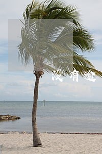 没有逾期记录几年消除 没有逾期记录几年消除