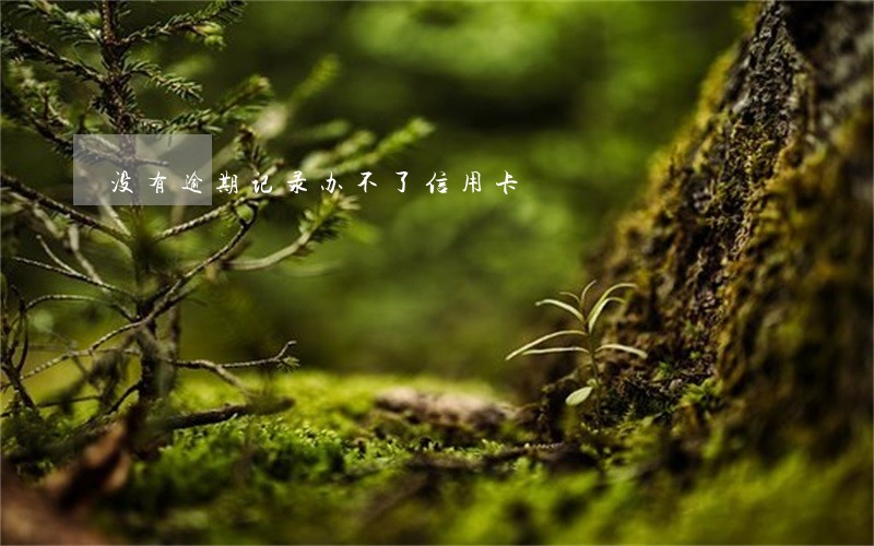 没有逾期记录办不了信用卡 没有逾期记录办不了信用卡