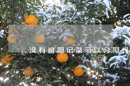 没有逾期记录可以分期吗 没有逾期记录可以分期吗