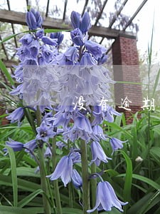 没有逾期记录就没事了吗 没有逾期记录就没事了吗