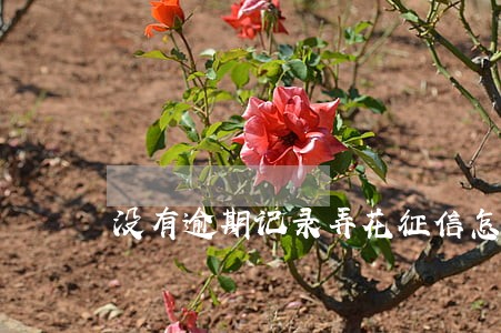没有逾期记录弄花征信怎么办 没有逾期记录弄花征信怎么办