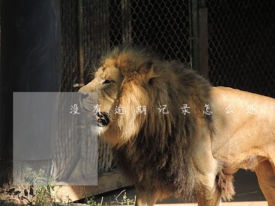 没有逾期记录怎么还