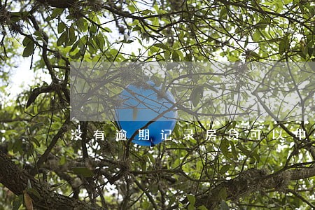 没有逾期记录房贷可以申请下来 没有逾期记录房贷可以申请下来