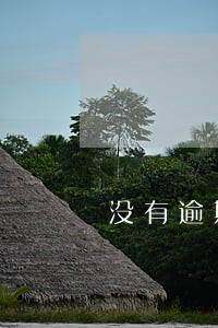 没有逾期记录的图片 没有逾期记录的图片