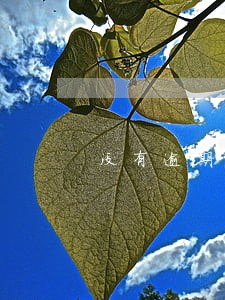 没有逾期记录的网贷多久消除 没有逾期记录的网贷多久消除