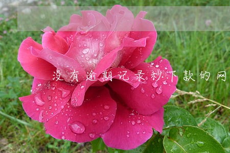 没有逾期记录秒下款的网贷 没有逾期记录秒下款的网贷
