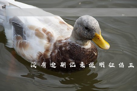 没有逾期记录说明征信正常 没有逾期记录说明征信正常