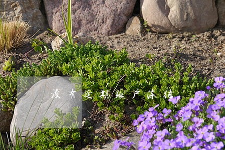 没有逾期账户冻结 没有逾期账户冻结