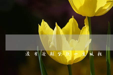没有逾期贷款一直被拒