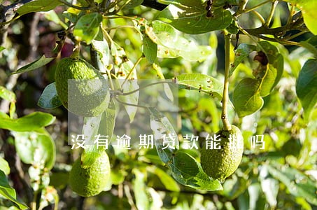 没有逾期贷款能批吗 没有逾期贷款能批吗