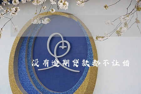 没有逾期贷款都不让借 没有逾期贷款都不让借