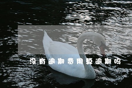 没有逾期费用算逾期吗 没有逾期费用算逾期吗