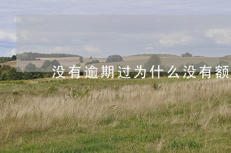 没有逾期过为什么没有额度 没有逾期过为什么没有额度